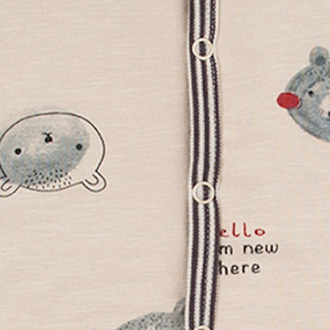 Φορμάκι μπεζ 22825