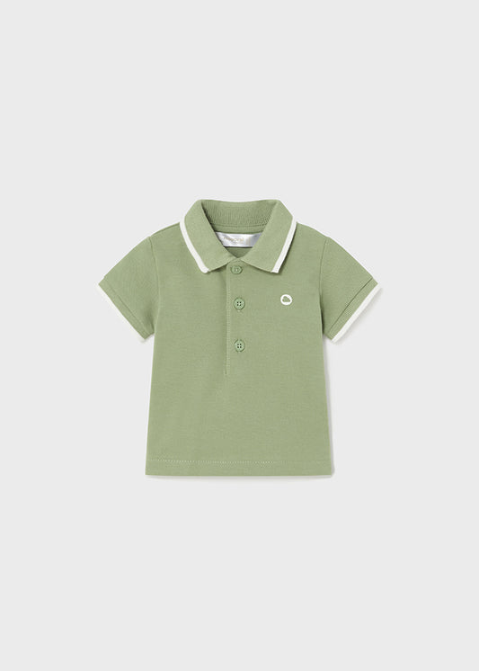 Basic short sleeve polo shirt (SS24) 190 green