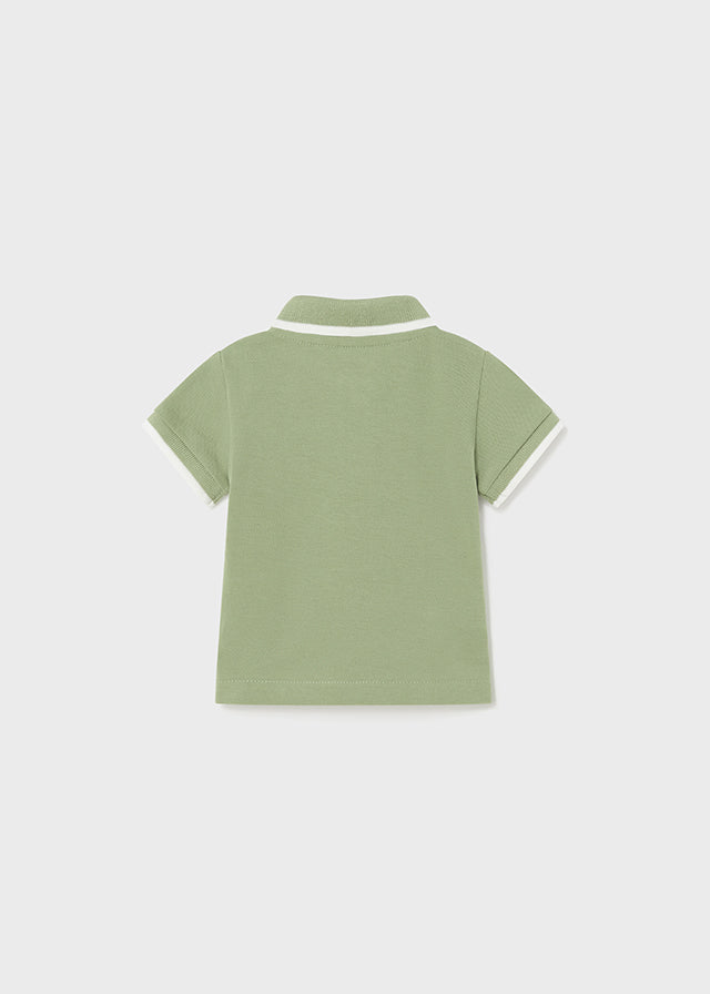 Basic short sleeve polo shirt (SS24) 190 green